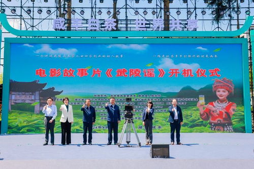 咸丰白茶区域公用品牌携手《2023中国茶叶进出口贸易分析报告》同台发布，助力贸易咨询
