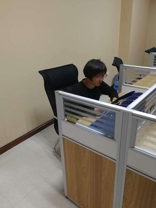 陈艳女士公司业务概览 投资管理、资产管理及专业咨询服务